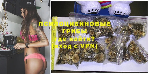 jwh Шадринск