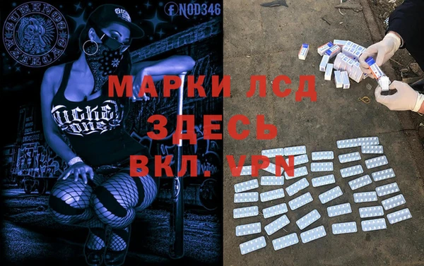таблы Новодвинск