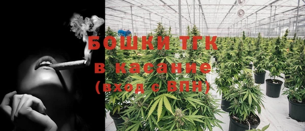дмт Новозыбков