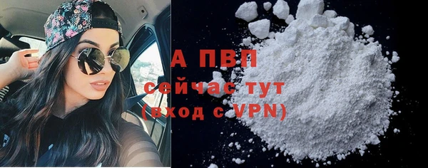 дмт Новозыбков