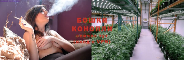 дмт Новозыбков