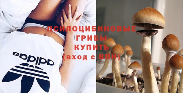 гашиш Новокубанск