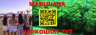 spice Апшеронск