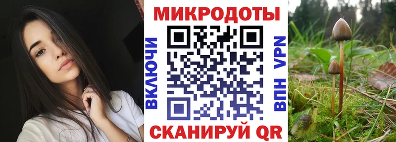 ОМГ ОМГ ССЫЛКА  Великий Устюг  Псилоцибиновые грибы мухоморы 