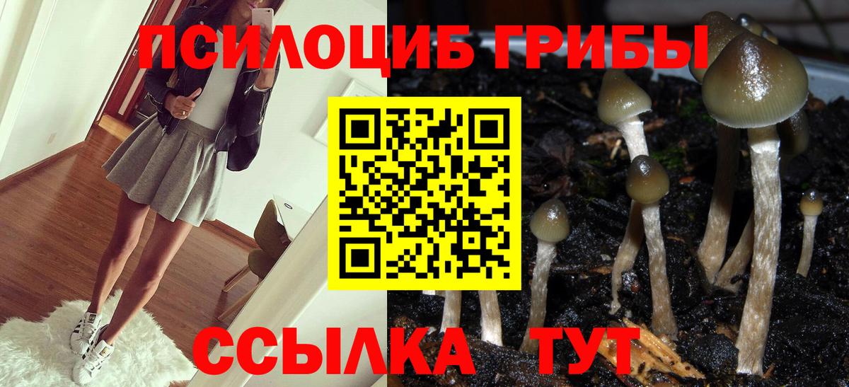 Псилоцибиновые грибы Psilocybe  Вход с VPN  Великий Устюг  Псилоцибиновые грибы Psilocybine cubensis 