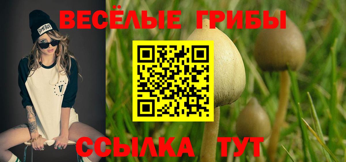 сколько стоит  Галлюциногенные грибы Psilocybine cubensis  Великий Устюг  Псилоцибиновые грибы прущие грибы 