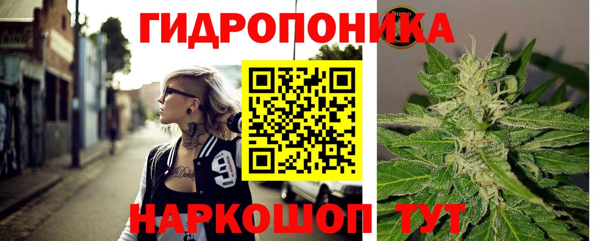 Бошки Шишки Amnesia Великий Устюг